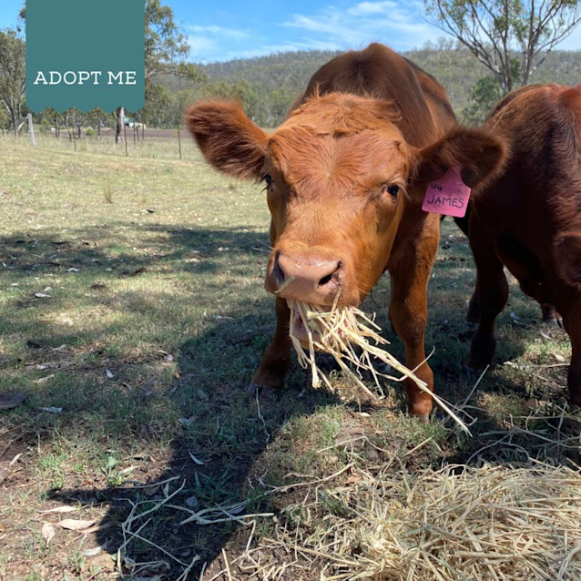 Photo of Theo, Eugene, Daniel, George & James