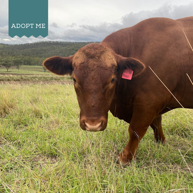 Photo of Theo, Eugene, Daniel, George & James