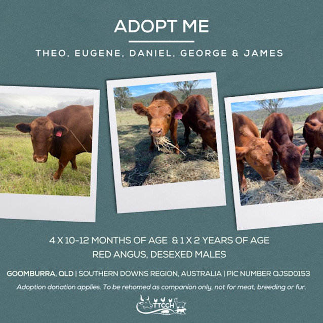 Photo of Theo, Eugene, Daniel, George & James