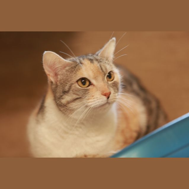 Photo of Kari