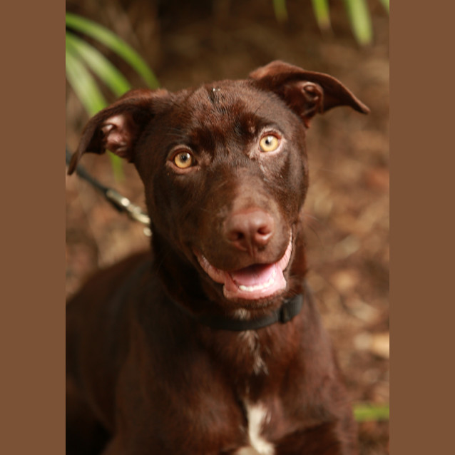 Photo of Bentley