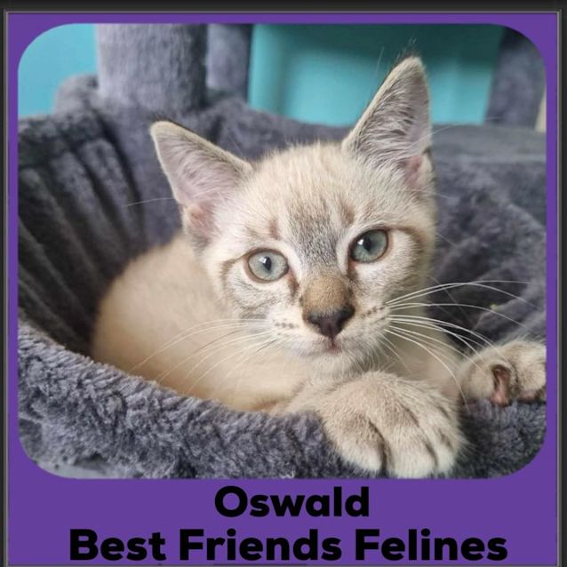 Photo of Oswald