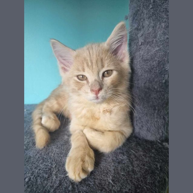 Photo of Rupert