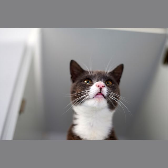 Photo of Reginald
