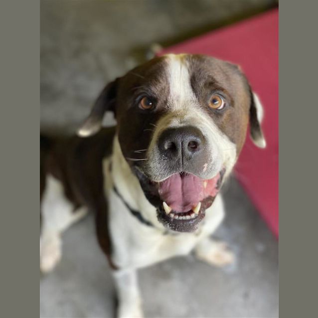 Photo of Buster