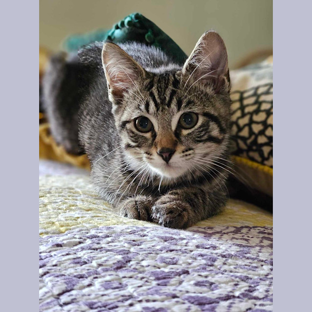 Photo of Wills And Harry 