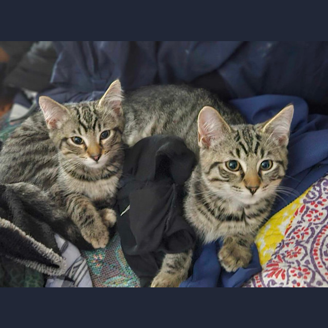 Photo of Wills And Harry 