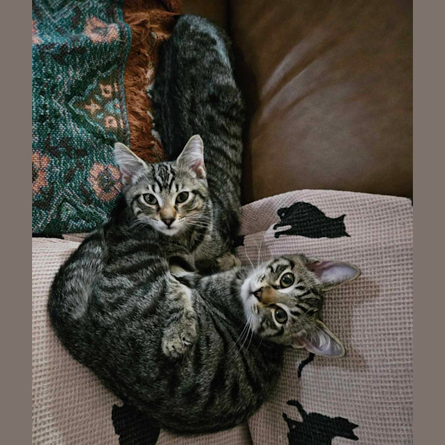 Photo of Wills And Harry 