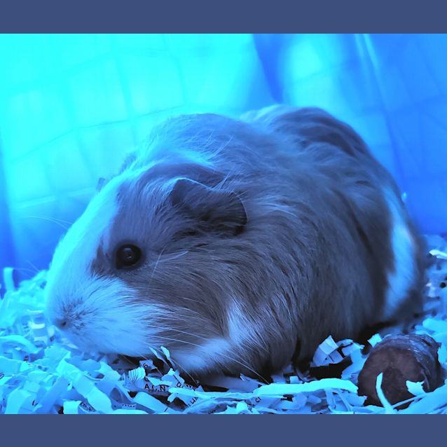 Photo of Meg