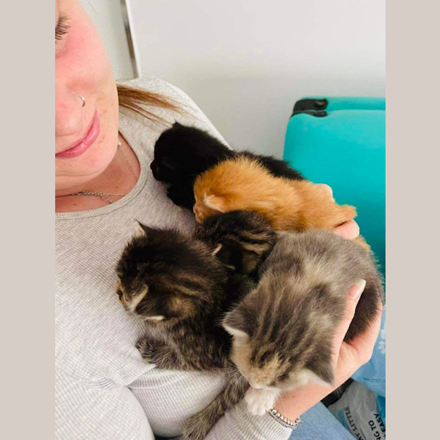 Photo of Biscuit Maker Jericho