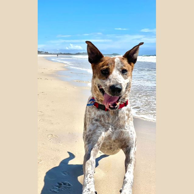 Photo of Tasha