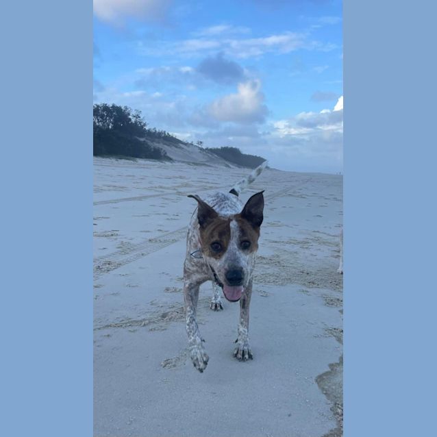 Photo of Tasha