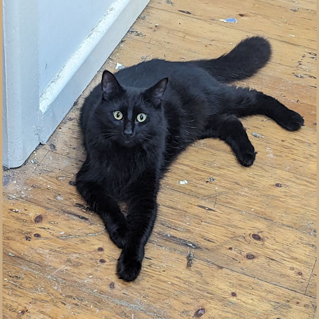 Photo of Dante
