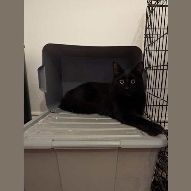 Photo of Dante