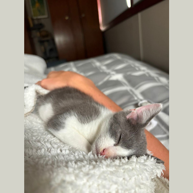 Photo of Rocket