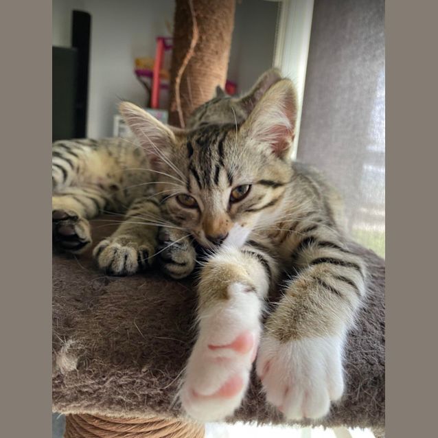 Photo of Minnie