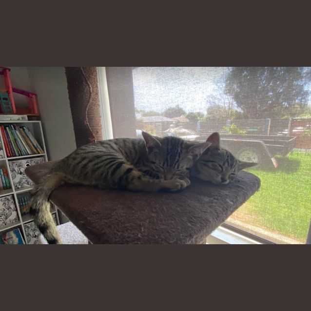 Photo of Minnie