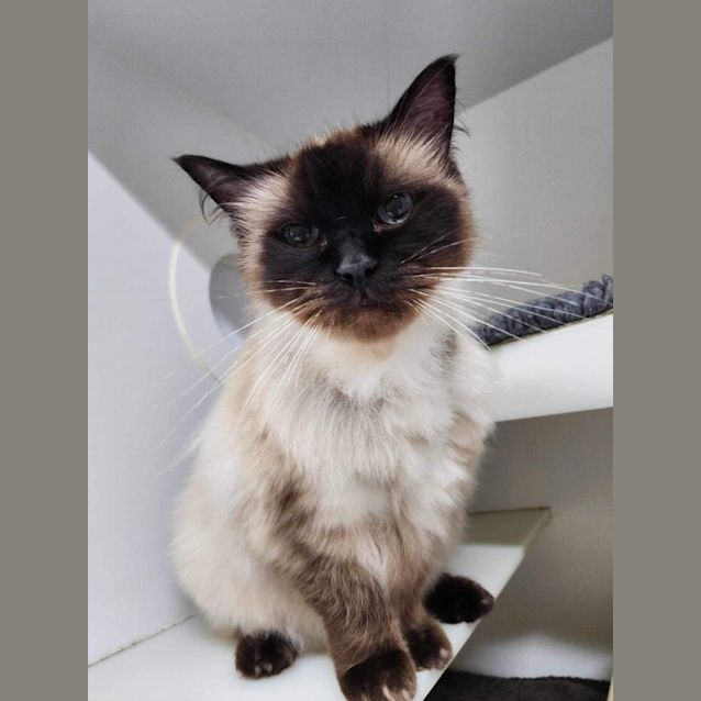 Photo of 🚀 Oscar F02746 🚀