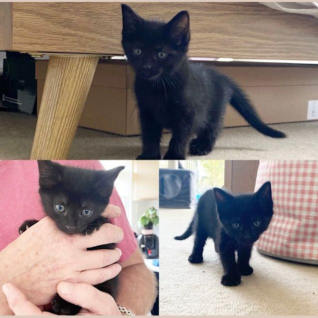 Photo of Semi & Sami 