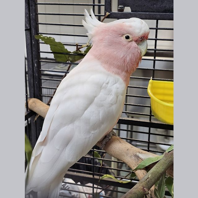 Photo of Joe