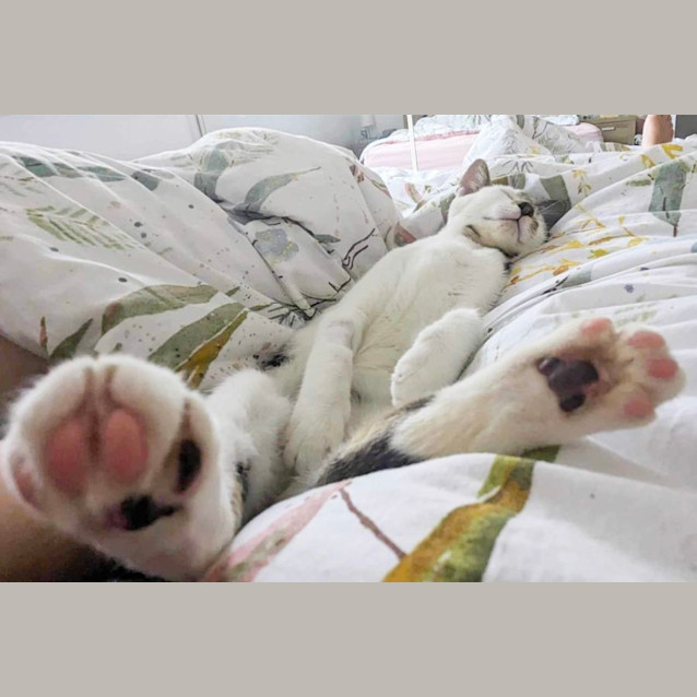 Photo of Danny & Sandy ❤️