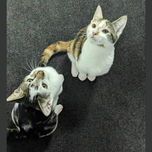 Photo of Danny & Sandy ❤️