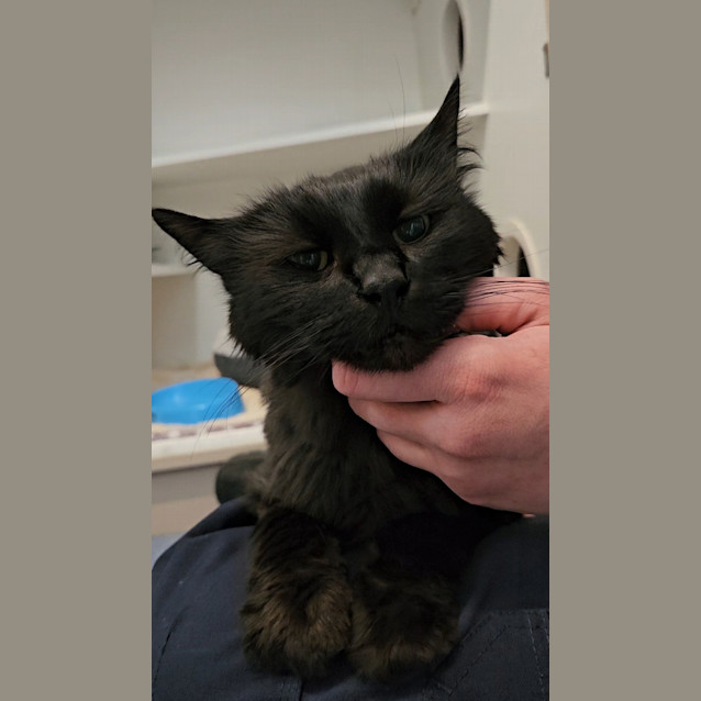 Photo of Fuzzy