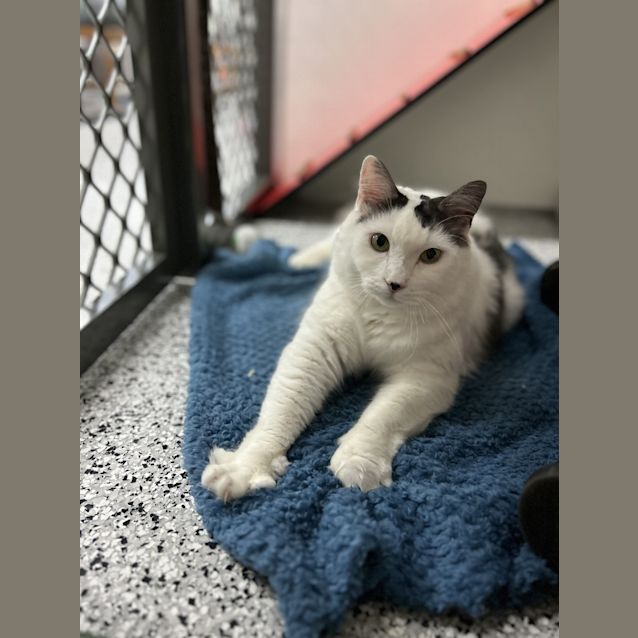 Photo of Wilbur