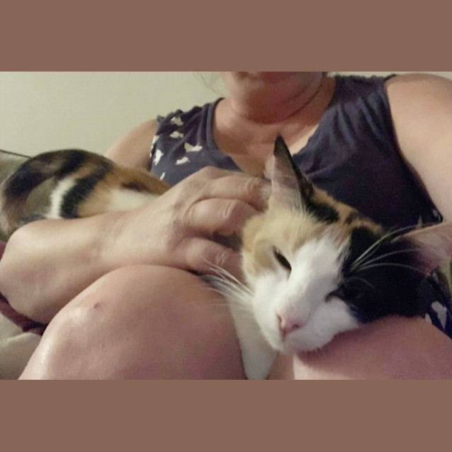 Photo of Angus & Motek