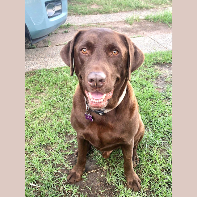 Photo of Marlo