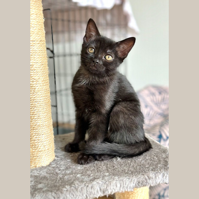 Photo of Twinkle