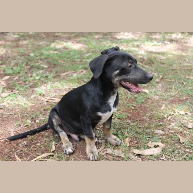 Photo of Apollo