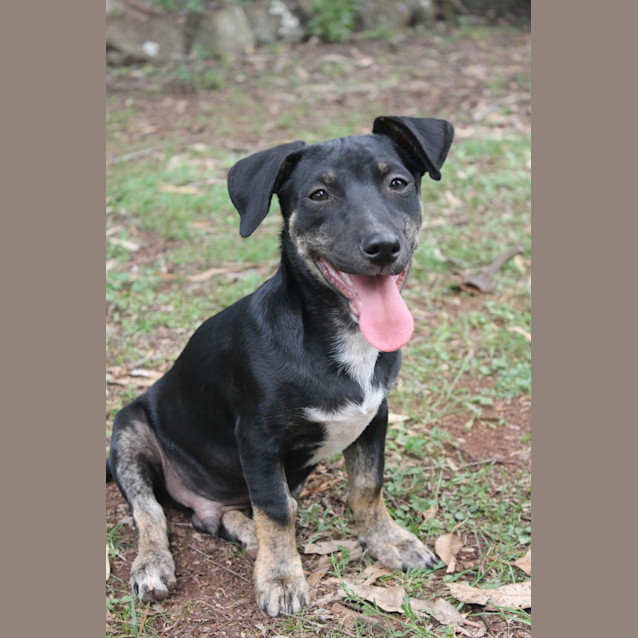 Photo of Apollo