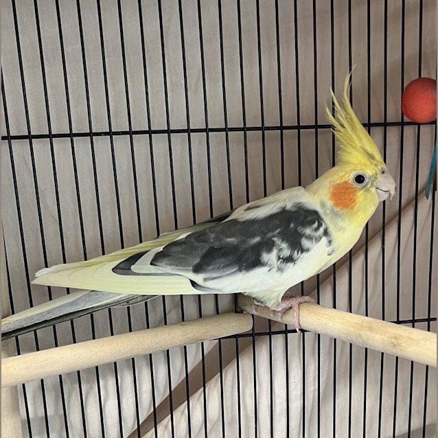 Photo of Doc