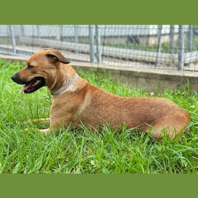 Photo of Zumi