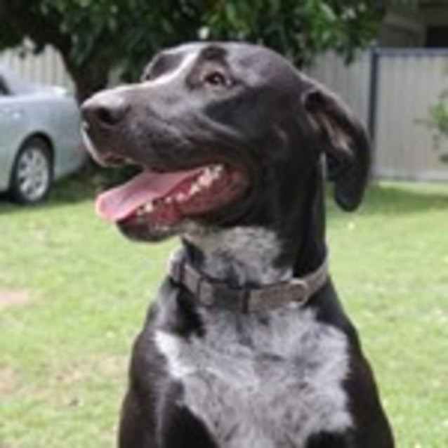 Photo of Joyce