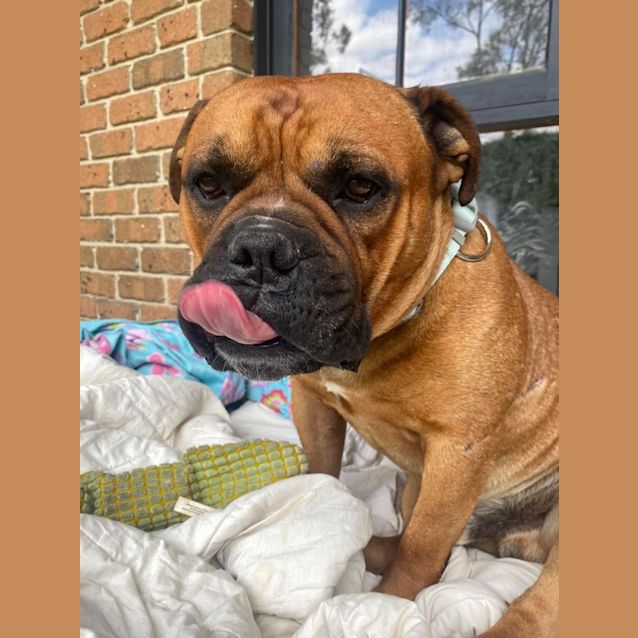Photo of Arnie