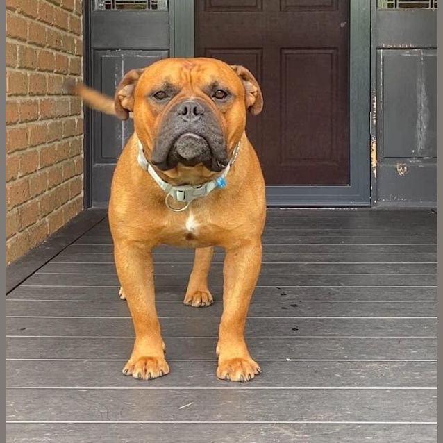 Photo of Arnie