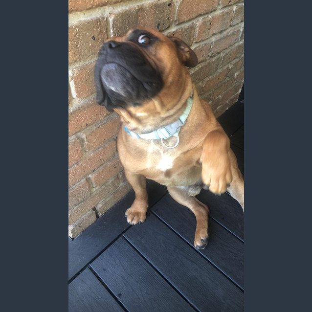 Photo of Arnie