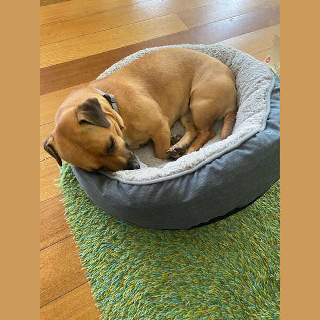 Photo of Josie 🌻