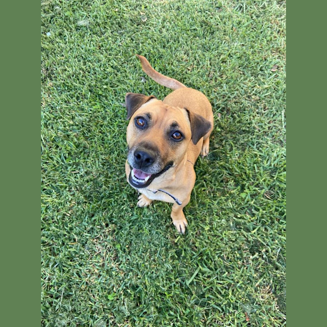 Photo of Josie 🌻