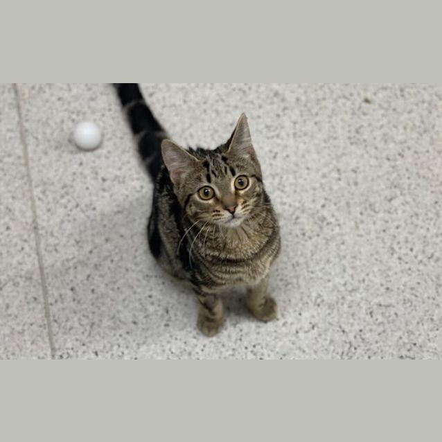 Photo of Mae