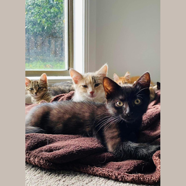 Photo of Sleepy Jagger 😴 