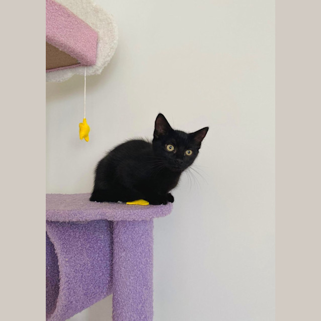 Photo of Sleepy Jagger 😴 