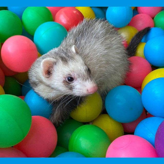 Photo of Brix & Mortar