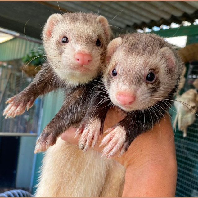 Photo of Brix & Mortar