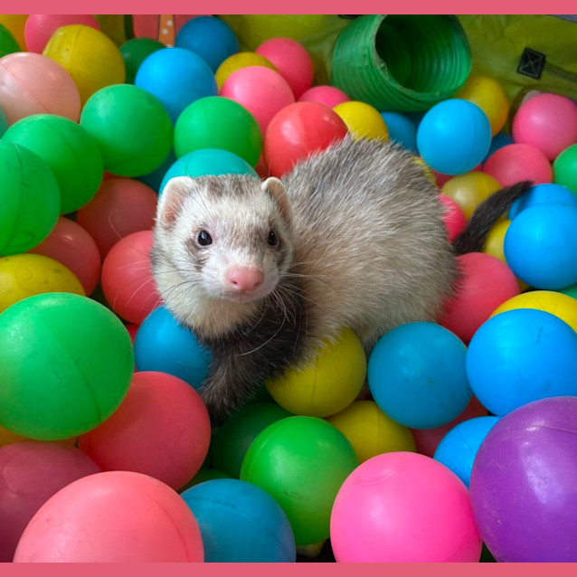 Photo of Brix & Mortar