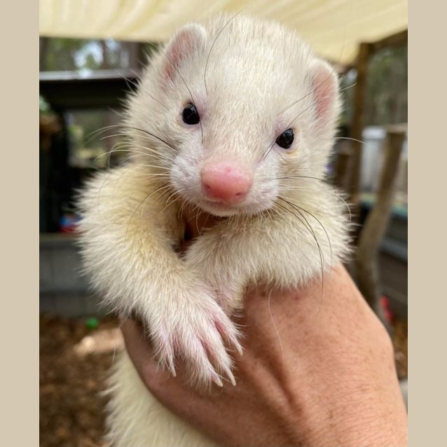 Photo of Wren & Maren