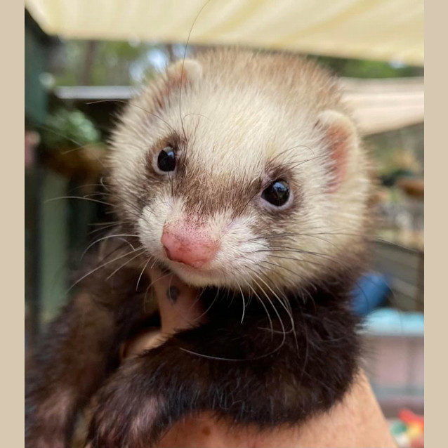 Photo of Wren & Maren