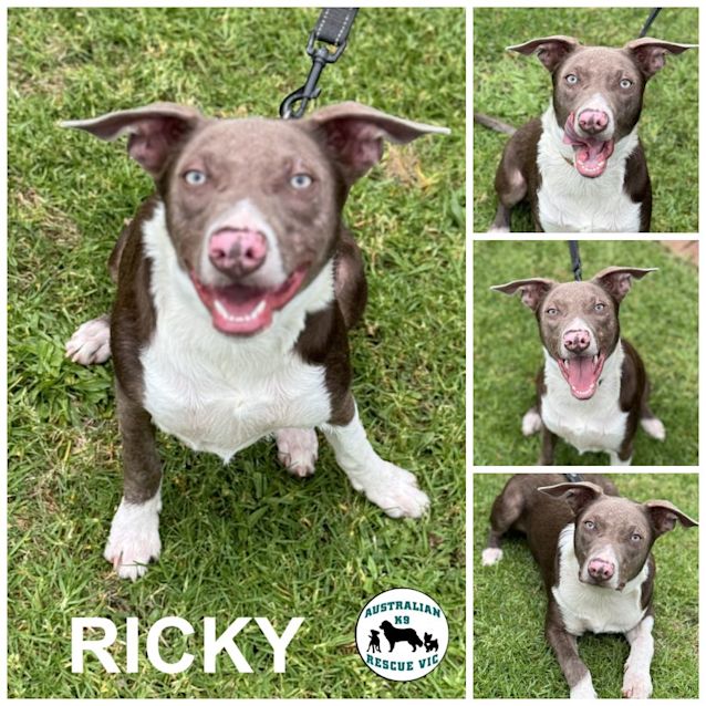 Photo of Ricky 
